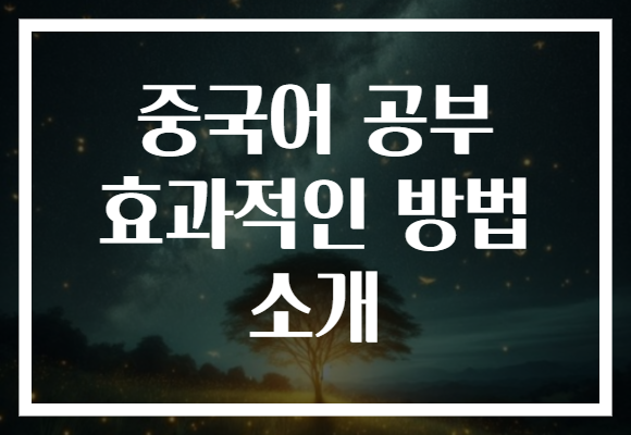 중국어 공부 효과적인 방법 소개
