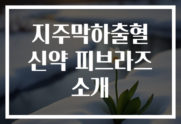 지주막하출혈 신약 피브라즈 소개