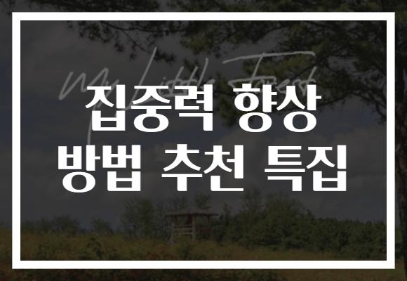 집중력 향상 방법 추천 특집