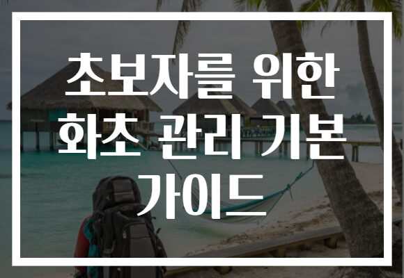 초보자를 위한 화초 관리 기본 가이드