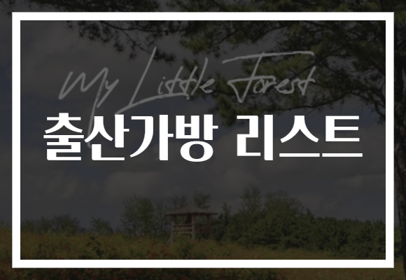 출산가방 리스트