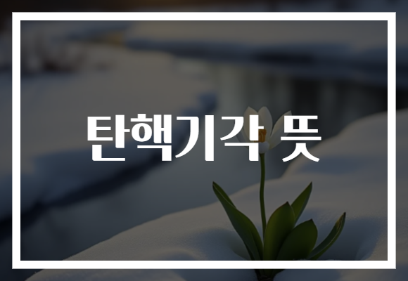탄핵기각 뜻