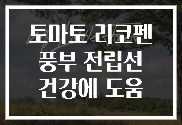 토마토 리코펜 풍부 전립선 건강에 도움