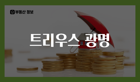 트리우스 광명