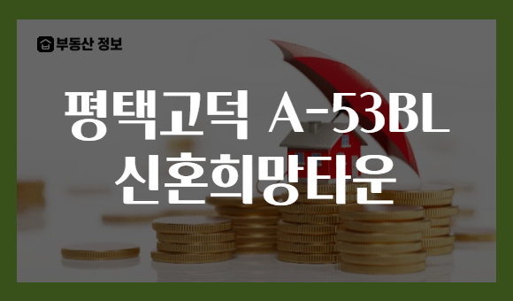평택고덕 A-53BL 신혼희망타운