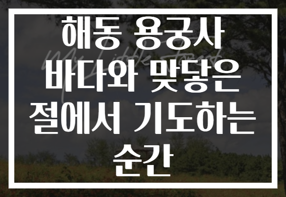 해동 용궁사 바다와 맞닿은 절에서 기도하는 순간