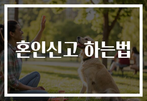 혼인신고 하는법