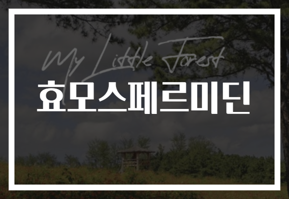 효모스페르미딘