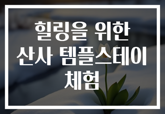 힐링을 위한 산사 템플스테이 체험