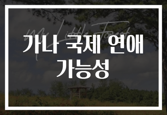 가나 국제 연애 가능성
