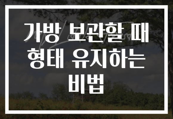 가방 보관할 때 형태 유지하는 비법