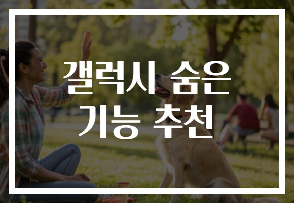 갤럭시 숨은 기능 추천