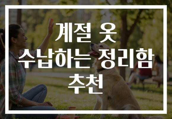 계절 옷 수납하는 정리함 추천