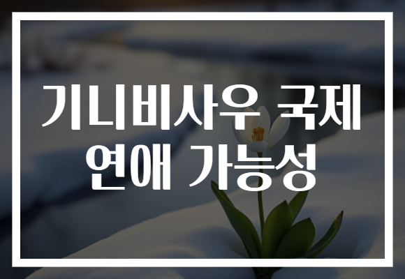 기니비사우 국제 연애 가능성