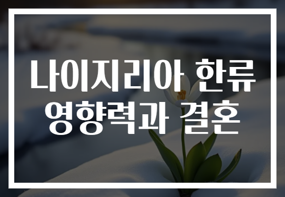 나이지리아 한류 영향력과 결혼