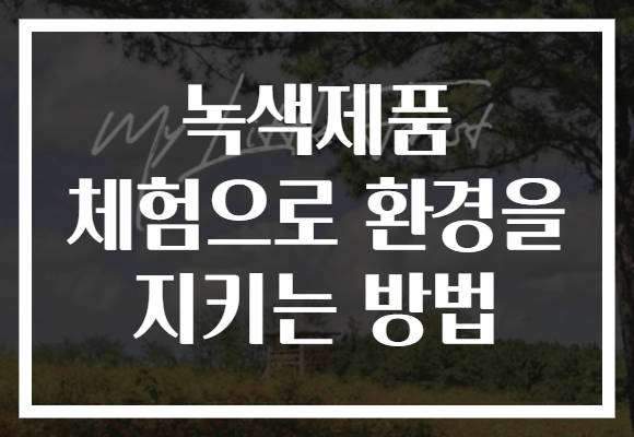 녹색제품 체험으로 환경을 지키는 방법