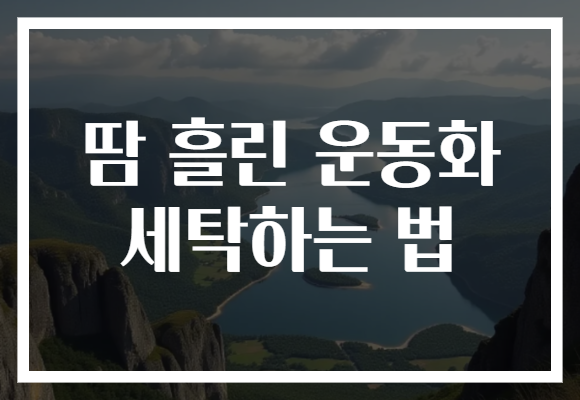 땀 흘린 운동화 세탁하는 법