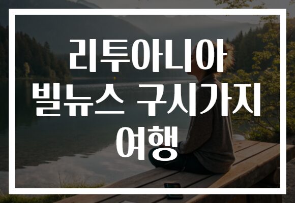 리투아니아 빌뉴스 구시가지 여행