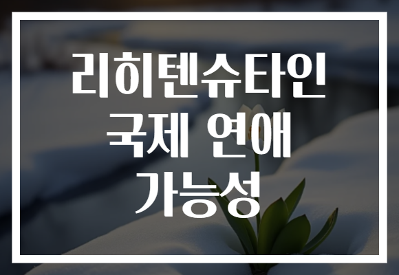 리히텐슈타인 국제 연애 가능성