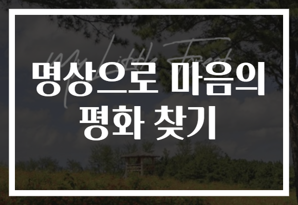 명상으로 마음의 평화 찾기
