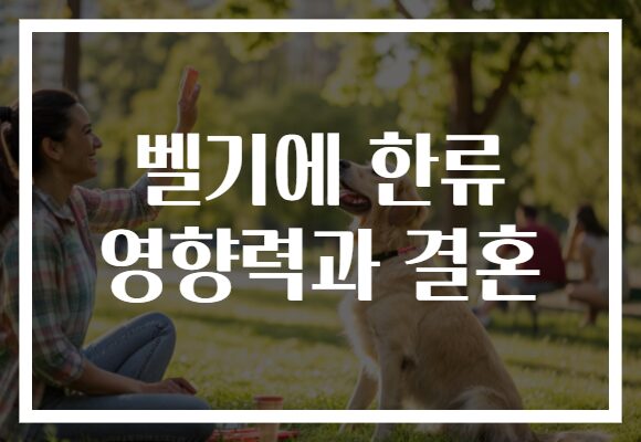 벨기에 한류 영향력과 결혼