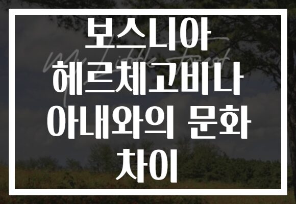 보스니아 헤르체고비나 아내와의 문화 차이