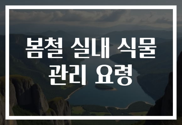 봄철 실내 식물 관리 요령