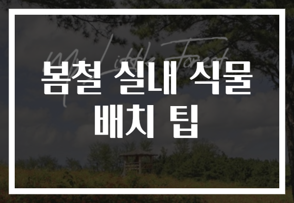 봄철 실내 식물 배치 팁