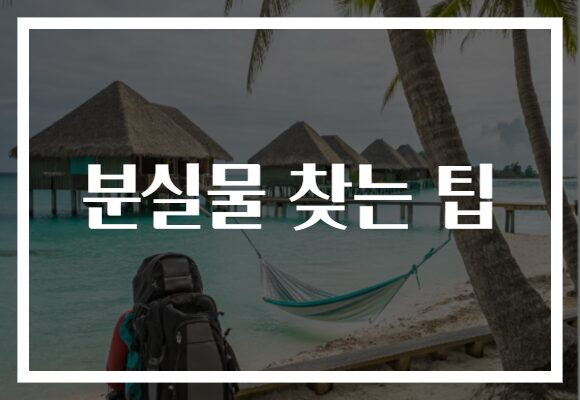 분실물 찾는 팁