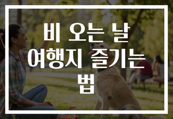 비 오는 날 여행지 즐기는 법