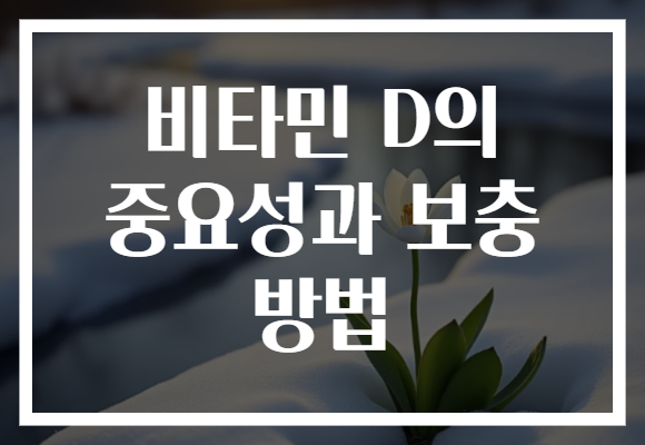 비타민 D의 중요성과 보충 방법