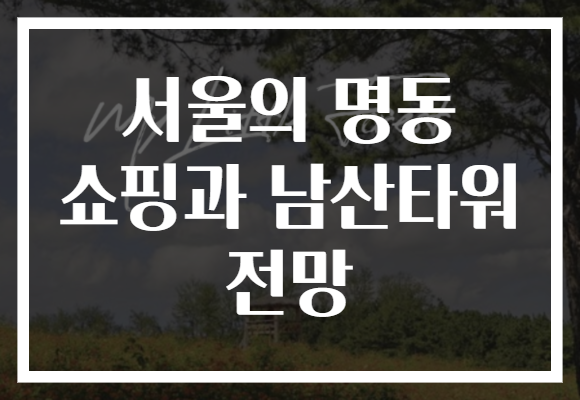 서울의 명동 쇼핑과 남산타워 전망​