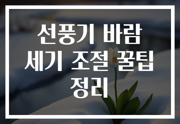 선풍기 바람 세기 조절 꿀팁 정리