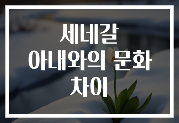 세네갈 아내와의 문화 차이