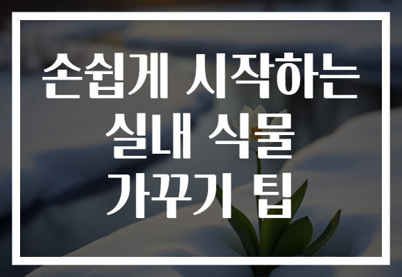 손쉽게 시작하는 실내 식물 가꾸기 팁