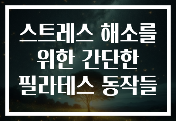 스트레스 해소를 위한 간단한 필라테스 동작들