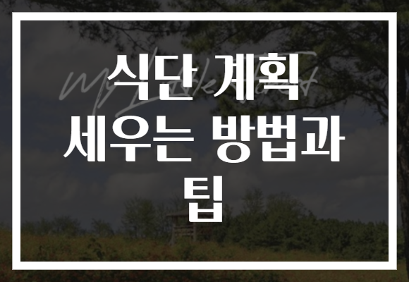 식단 계획 세우는 방법과 팁