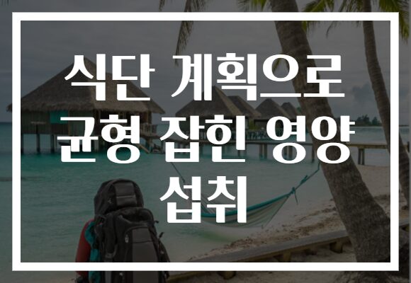식단 계획으로 균형 잡힌 영양 섭취