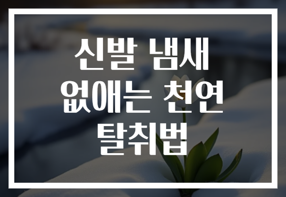 신발 냄새 없애는 천연 탈취법