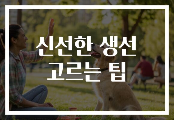 신선한 생선 고르는 팁