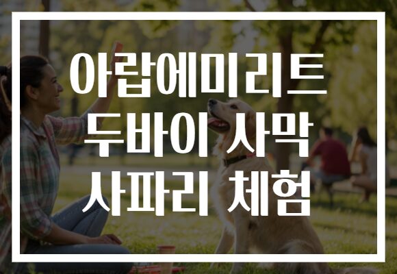 아랍에미리트 두바이 사막 사파리 체험