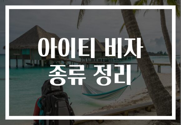 아이티 비자 종류 정리