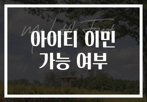 아이티 이민 가능 여부