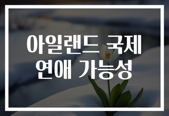 아일랜드 국제 연애 가능성