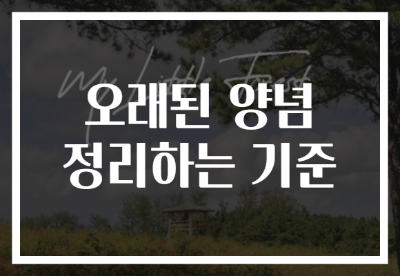 오래된 양념 정리하는 기준