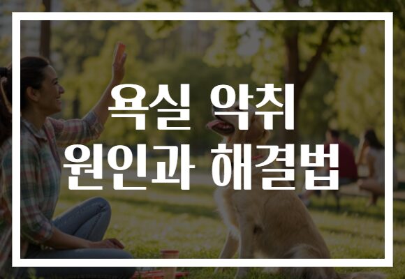 욕실 악취 원인과 해결법