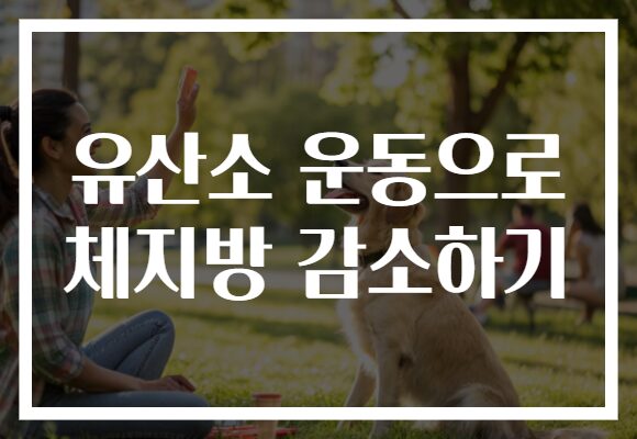 유산소 운동으로 체지방 감소하기