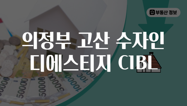 의정부 고산 수자인 디에스티지 C1BL