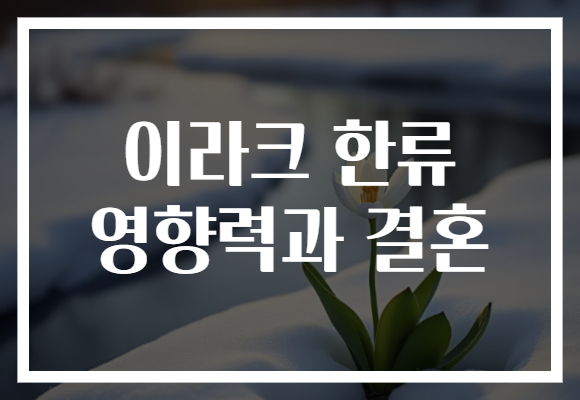 이라크 한류 영향력과 결혼