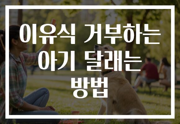 이유식 거부하는 아기 달래는 방법